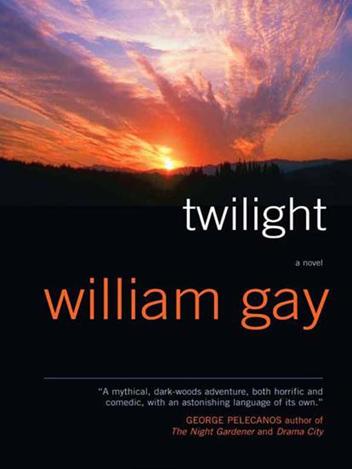 Title details for Twilight by William Gay - Wait list